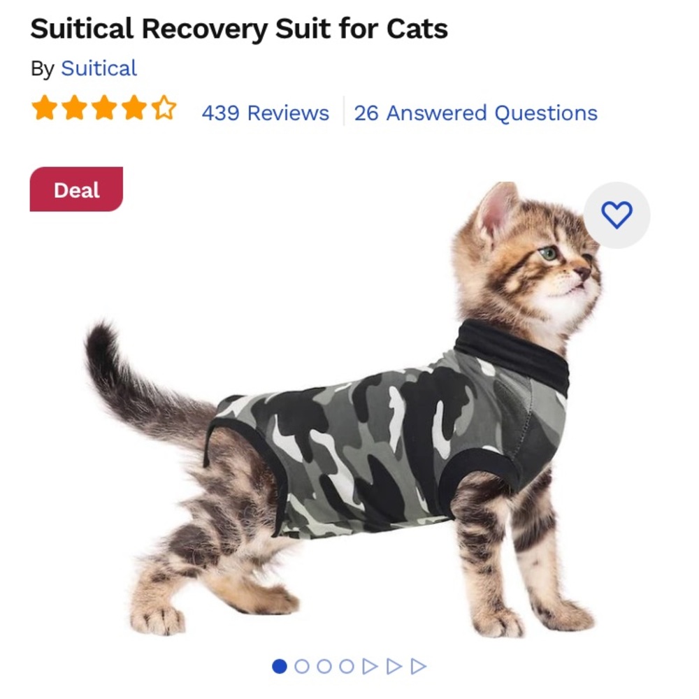 XXS Suitical kitten spay recovery suit